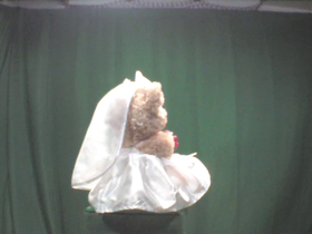 0 Degrees _ Picture 9 _ Wedding Dress Teddy Bear.png